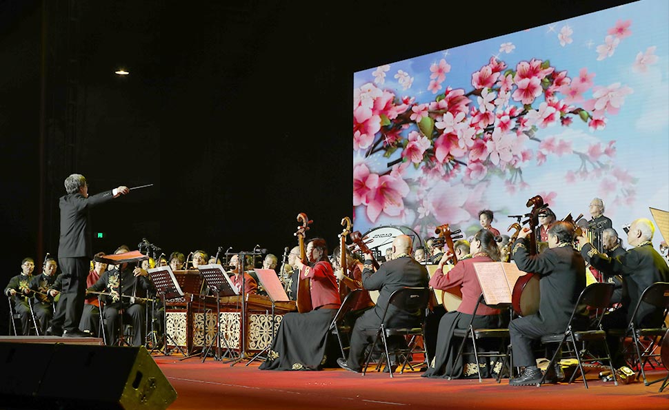 乡村振兴艺术团首场演出--民乐合奏《红花遍地开》